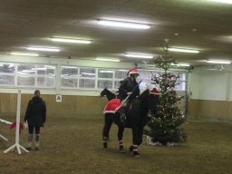 IMG_2973_web